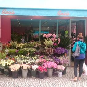 Les Jardins d'Anaïs Fleuriste à Paris Montorgueil 75002 Anais