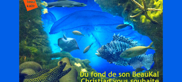 Vœux 2017 du BeauKal